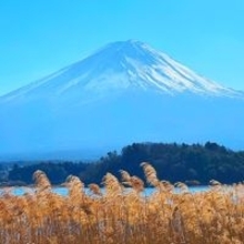 中国人がまた閉山中の富士山から救助要請＝中国ネット「なぜルール守らない？」「迷惑かけるな」