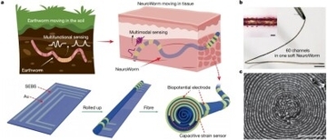 中国の研究者、次世代ブレイン・マシン・インターフェース機能電極の開発に成功