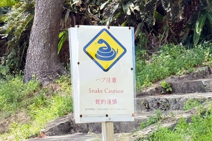 日本のトンデモ翻訳が中国SNSで話題に