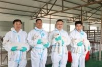 超高産乳用ヤギの大量クローンに初成功―中国