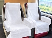中国高速鉄道に乗ったら皮膚病に？衛生問題が再び物議―香港メディア