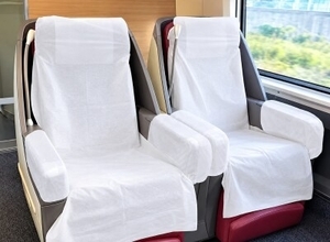中国高速鉄道に乗ったら皮膚病に？衛生問題が再び物議―香港メディア