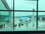 5月連休は「遠くへは行けない」韓国人に人気の旅行先は？＝ネット「この状況でも海外旅行を？」