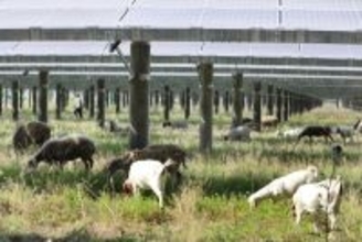 独・英メディア、現下のエネルギー危機で最大の勝者は中国と報道