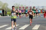 「雄安新区でマラソン大会が開催―中国」の画像2