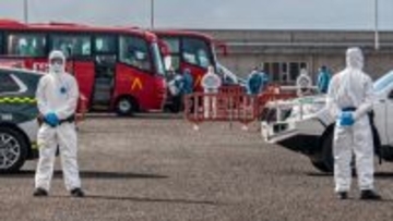 スペインの保健当局、国内初のハンタウイルス感染者は「容体安定」と発表