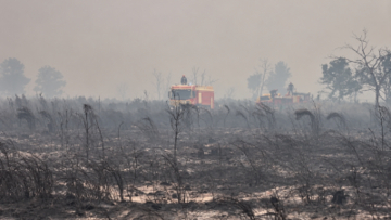 山火事がフランス・ボルドー市街地に迫る 住民避難は過去最多に