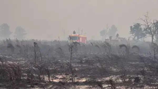 山火事がフランス・ボルドー市街地に迫る 住民避難は過去最多に