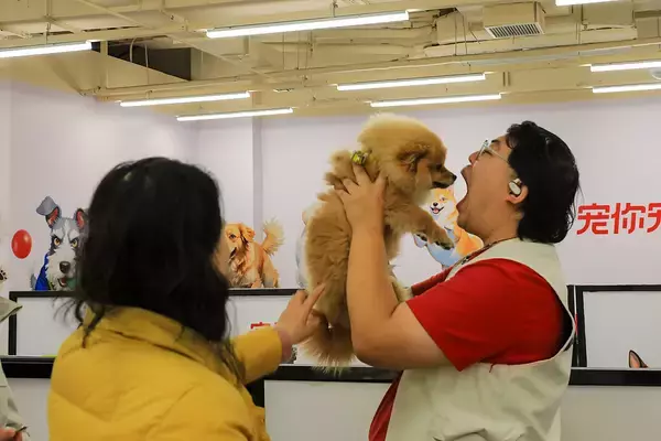中国でペット数が1億2600万匹に、犬への支出が人の医療費以上に