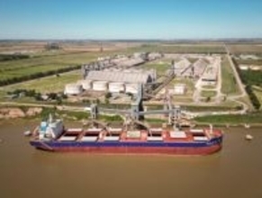 アルゼンチン、中国向け小麦の初輸出を開始