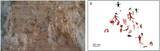 「雲南省で約4220年前の先史時代の岩絵を発見―中国」の画像1