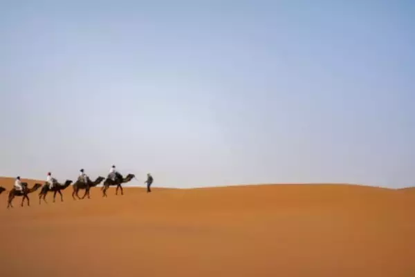 中国の対外直接投資、18年以来の高水準、重心はアフリカ・中東へシフト―台湾メディア