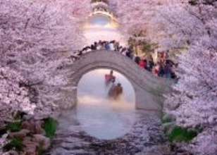 清明節連休、全国重点小売・飲食企業の1日平均売上が2．4％増―中国