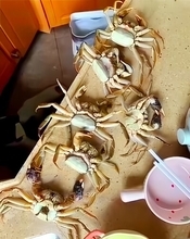 生成AI偽動画で返金申請し195元だまし取る、男を行政拘留―中国