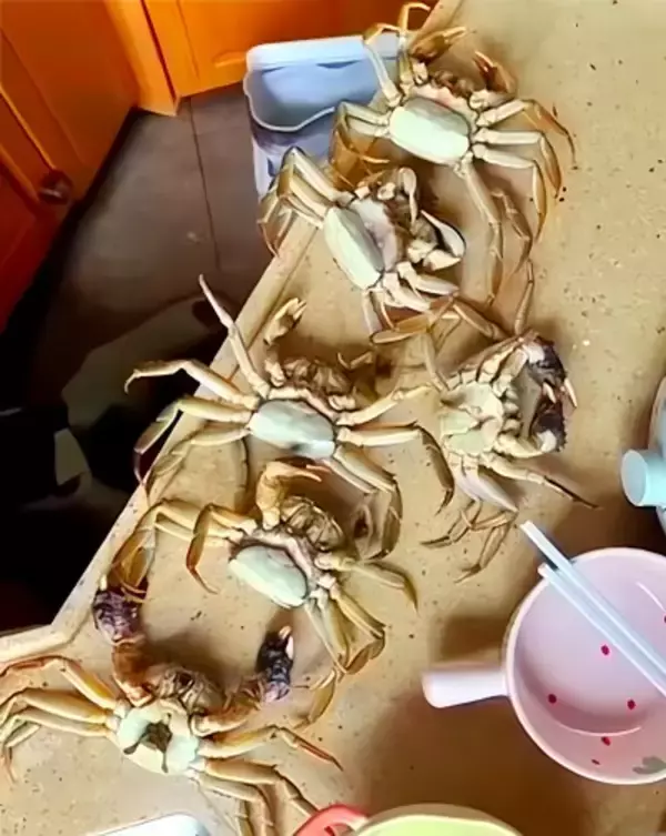 生成AI偽動画で返金申請し195元だまし取る、男を行政拘留―中国