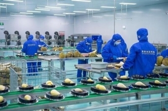 インドネシアから中国への輸出第1号となる冷凍ドリアンが広西に到着