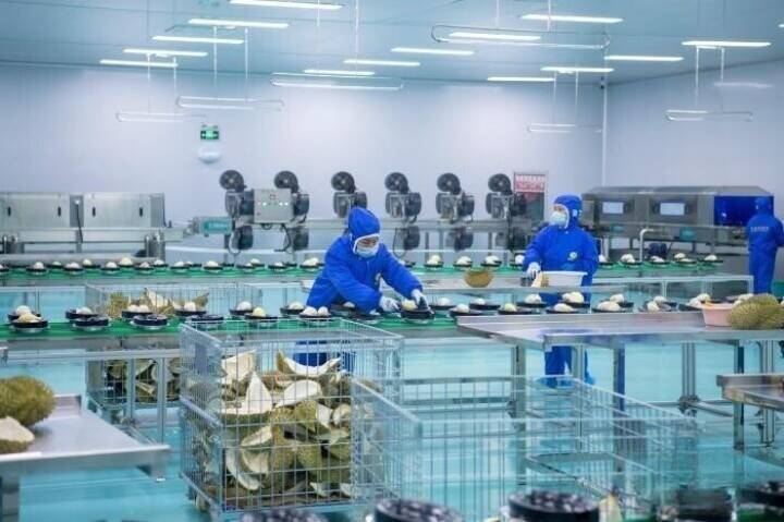 インドネシアから中国への輸出第1号となる冷凍ドリアンが広西に到着