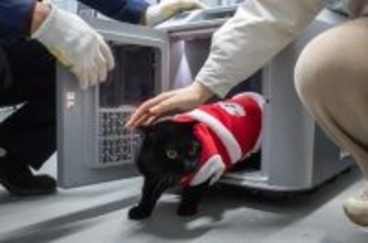 春節にはペットと一緒に高速鉄道で帰省―中国