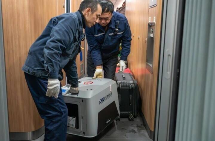 春節にはペットと一緒に高速鉄道で帰省―中国