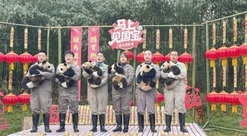 四川省で2025年誕生の赤ちゃんパンダが初公開―中国