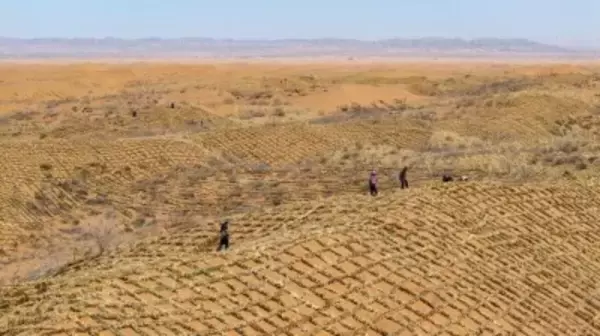 トングリ砂漠で春の砂防作業が佳境に―中国