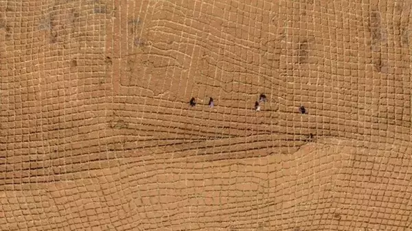 「トングリ砂漠で春の砂防作業が佳境に―中国」の画像