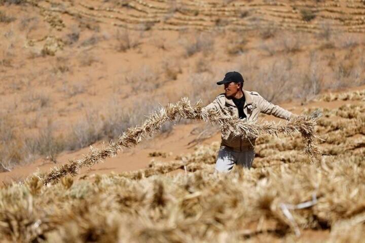 トングリ砂漠で春の砂防作業が佳境に―中国
