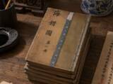 「300年以上前の「海洋オタク」はここまでこだわった！10年以上かけて371種の海洋生物を描いた男」の画像1