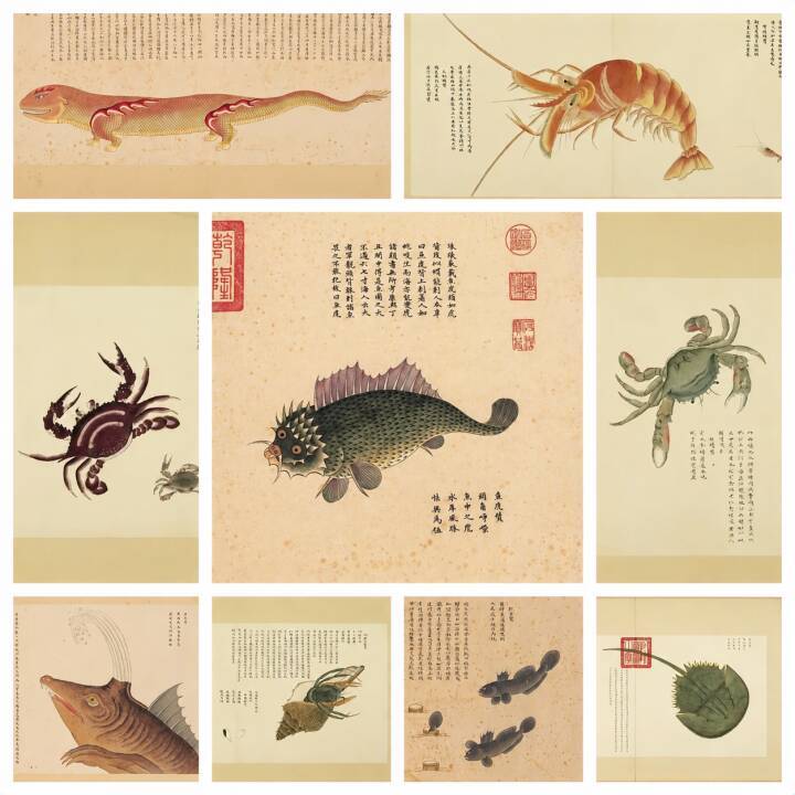 300年以上前の「海洋オタク」はここまでこだわった！10年以上かけて371種の海洋生物を描いた男