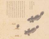「300年以上前の「海洋オタク」はここまでこだわった！10年以上かけて371種の海洋生物を描いた男」の画像3