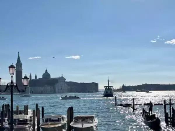中国人観光客が船頭の注意を「完全無視」、ゴンドラを転覆させ落水―イタリア・ベネチア