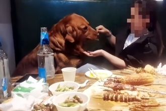 ペット不可なのに…客が勝手に犬を連れ込んで串焼きを食べさせた結果、店が営業停止に―中国