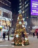 「日本の1人当たりGDPがOECD24位に、韓国との順位差拡大＝韓国ネット「日本は止まっている」」の画像1