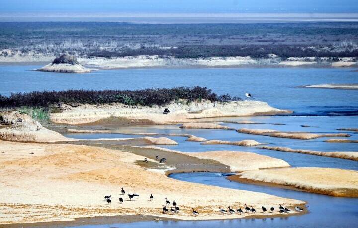中国最大の淡水湖、鄱陽湖が極端な渇水位を下回る―中国メディア