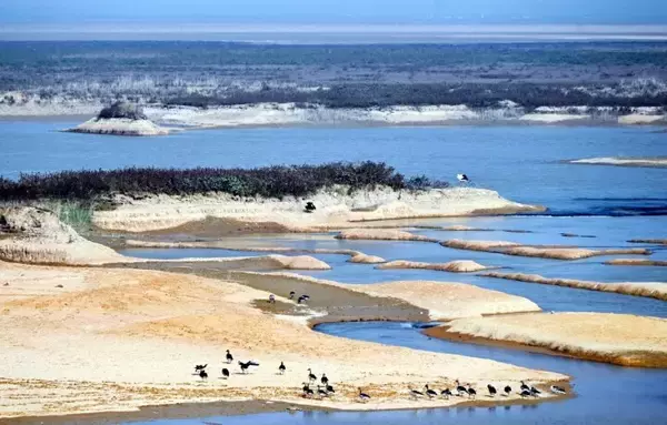 「中国最大の淡水湖、鄱陽湖が極端な渇水位を下回る―中国メディア」の画像