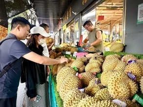 タイのドリアン豊作受け、中国でドリアンの価格がどんどん安く