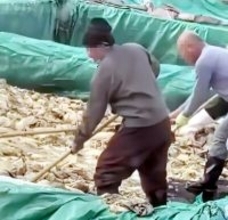 漬物の上で作業員がくわえたばこに痰吐き、企業に罰金2500万円―中国