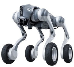 北京がロボット分野の専門職階を新設、7月に初の評価実施へ―中国