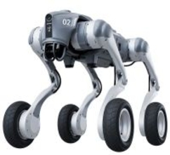 北京がロボット分野の専門職階を新設、7月に初の評価実施へ―中国