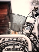 「感激で胸がいっぱい」日本の路上で動けなくなった中国人女性、助けてくれた家族に感謝