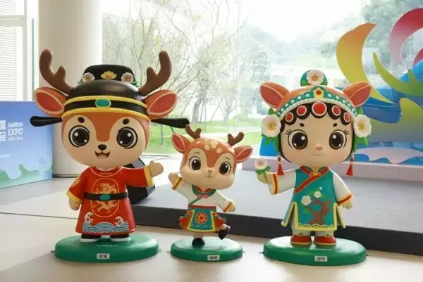 「第15回中国国際園林博覧会が浙江省で開幕へ」の画像