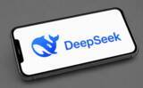「企業の6割がAI支出を抑制、DeepSeekなどオープンソースモデルに恩恵も―中国メディア」の画像1