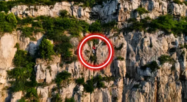 日の出を見ようと山に登った女性が崖から転落、60メートル落下も奇跡の生還―中国
