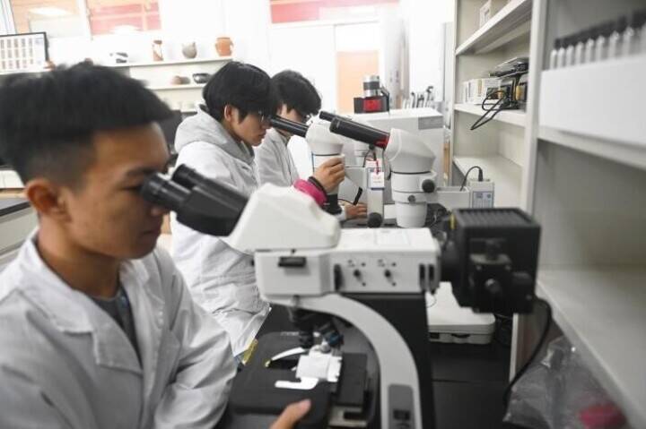 甘粛省の職業訓練校で「文化財のお医者さん」を育成―中国