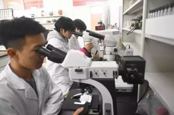 「甘粛省の職業訓練校で「文化財のお医者さん」を育成―中国」の画像