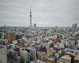 「日本の失われた第4の10年、製造業の3本の生命線が同時に危機に瀕する―香港メディア」の画像1