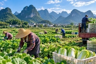 中国で毎日200万トンの食品消費、「食の安全」をいかにして確保するか―中国メディア