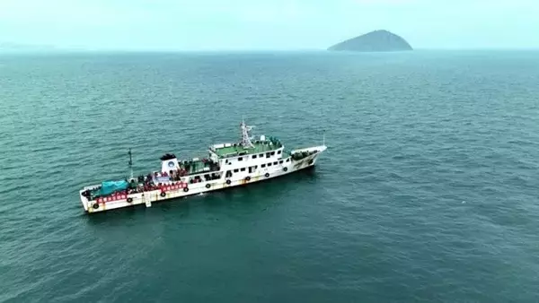 「大連でゴマフアザラシ5頭を海に放流―中国」の画像