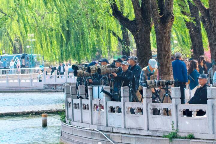 花見人気で旅行先が多様化、「春の経済」も活況―中国