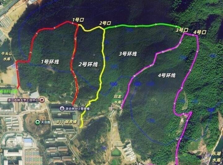 浙江の大学がカリキュラムに「ジャングルクロッシング」導入―中国